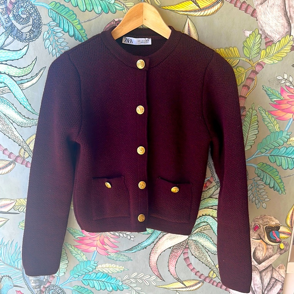 Zara Deep Red Sweater with Gold Accents